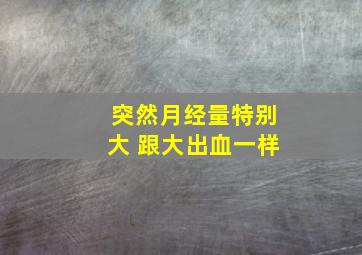 突然月经量特别大 跟大出血一样